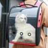 Front Facing Clear Cat Carrier